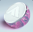 File:Dome Shield Rank 11.png