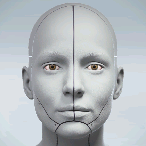 File:Epic DISSUN MAGNETIC FIELD.png