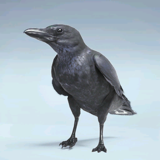 File:Epic CASH CROW.png