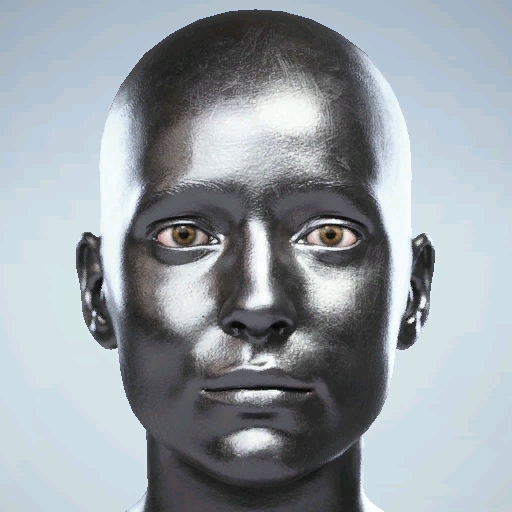 File:Legendary METALLIC COATING.png