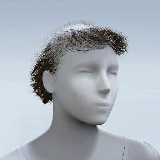 File:HAIR-Iron Vow.png