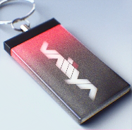 File:Epic PRISM CREDENTIAL.png