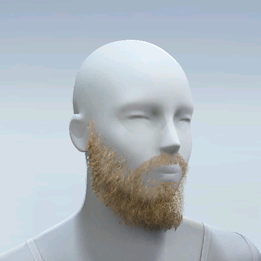 File:Common FULL BEARD-Blond.png