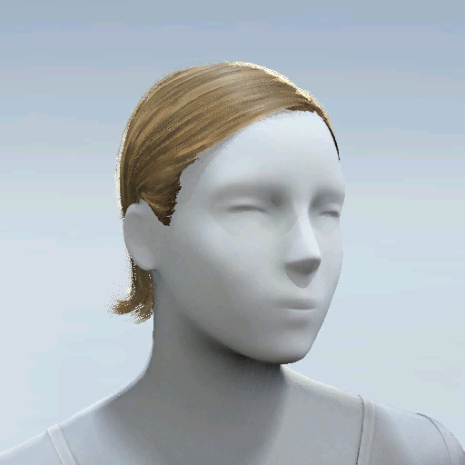 File:Common Hair 07.png