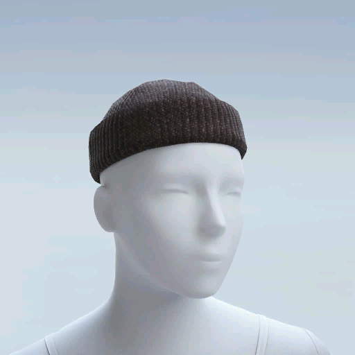 File:Rare CASUAL BEANIE.png