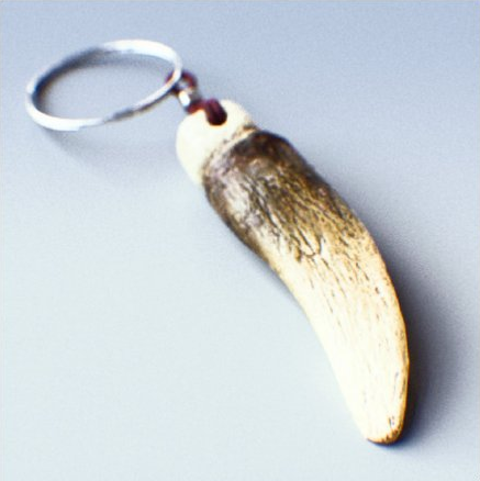 File:DRAGON TOOTH-Graphic.png