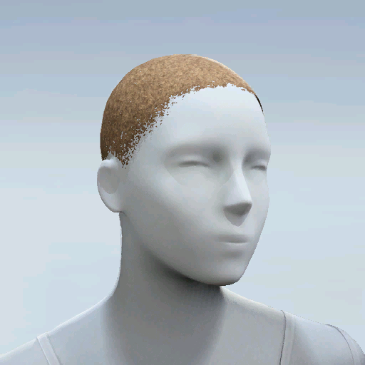 File:Common Hair 09.png