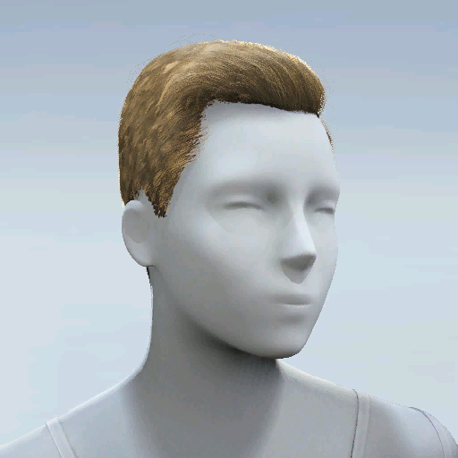 File:Common Hair 26.png