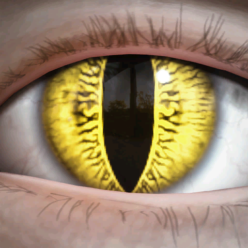 File:Epic LIZARD-LOOK LENSES.png