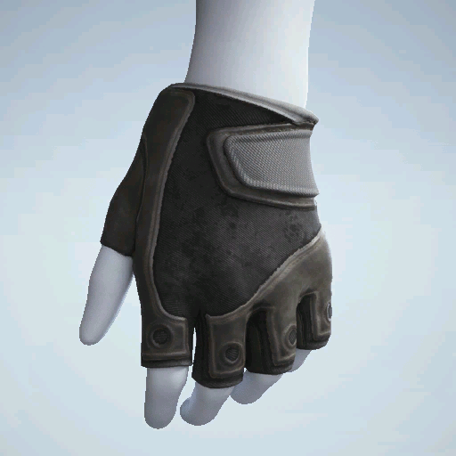 File:Epic WEIGHTLIFTING GLOVES.png