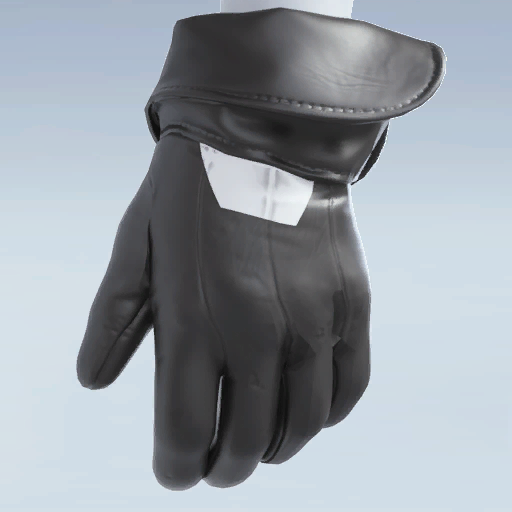 File:HOT-HAND GLOVES.png