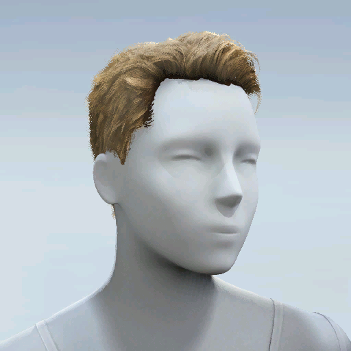 File:Common Hair 01.png