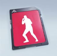 File:Epic EYE OF THE FOX.png