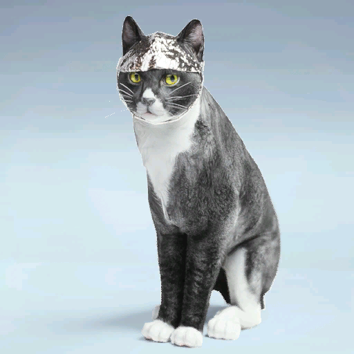 File:Legendary CONSPIRAKITTEN.png