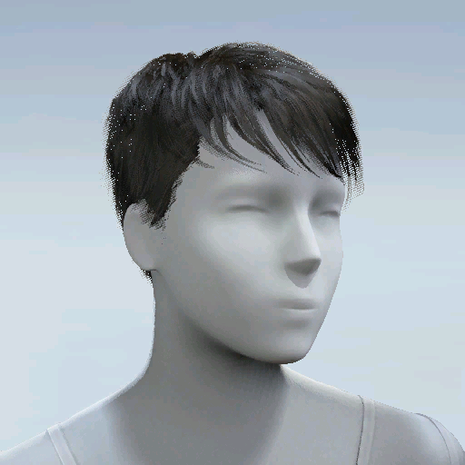 File:Common Hair 27.png