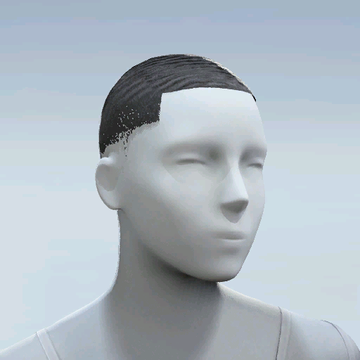 File:Common Hair 30.png