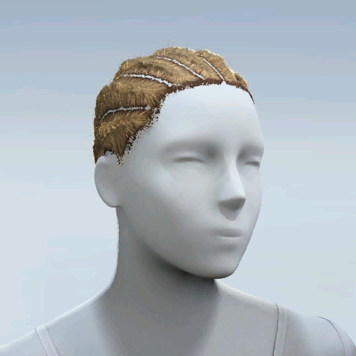 File:Common Hair 13.png