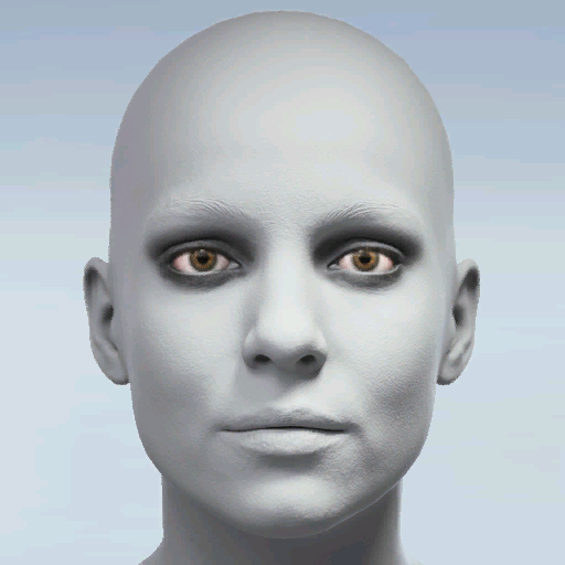File:Common Valkyria's Glare Face Paint.png