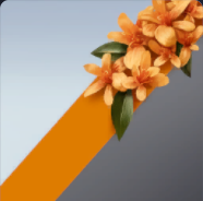 File:Rare DEVILWOOD BLOOM.png