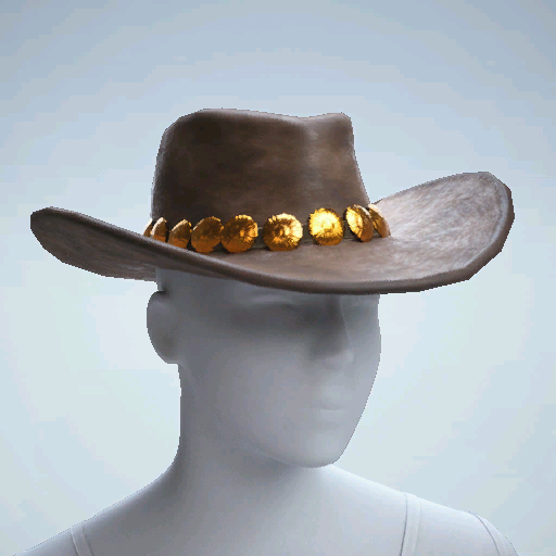 File:Rare WESTERN HAT.png