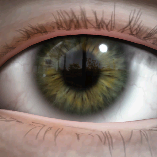 File:Common HAZEL EYES.png