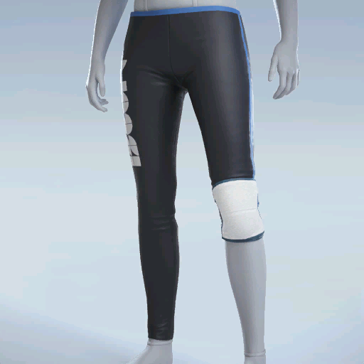 File:Epic ISEUL-T ASYM PANTS.png