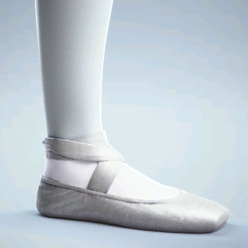 File:Epic POINTE SHOES-Snowflake Pointe.png