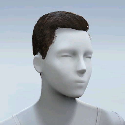 File:Common Hair 25.png