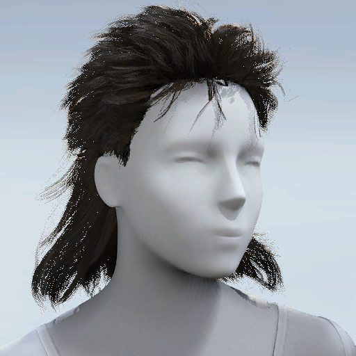 File:HAIR Feedback Looper.png