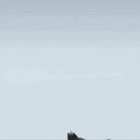 File:FAMAS ANIMATIONS SET Animated.gif