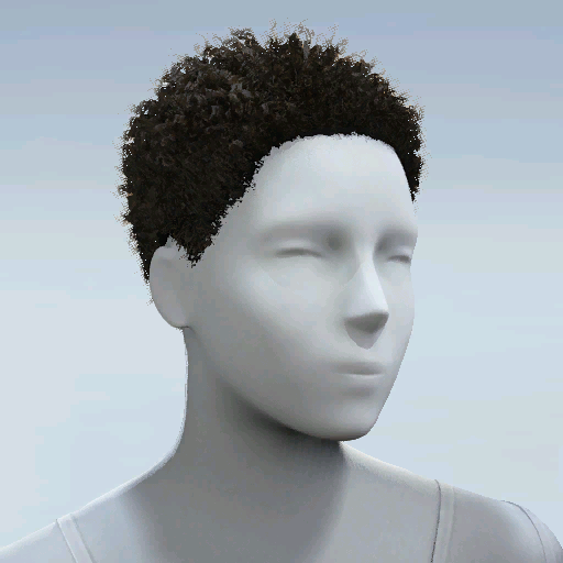 File:Common Hair 21.png