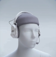 File:Level 98 VAIIYA ECHO GUARDS.jpg