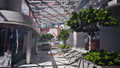 Thumbnail for version as of 08:01, 13 September 2026