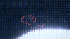 A fantail on Fortune Stadium