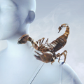 Thumbnail for version as of 19:13, 23 June 2026