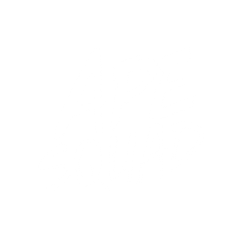Ape Squad