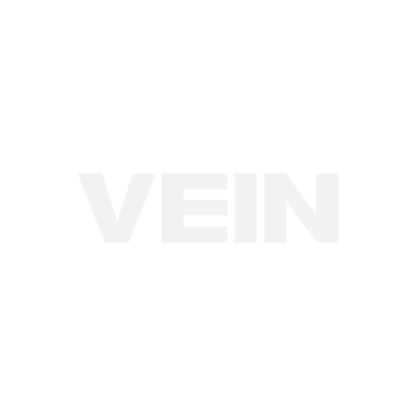 File:THE-FINALS vein-logo.png