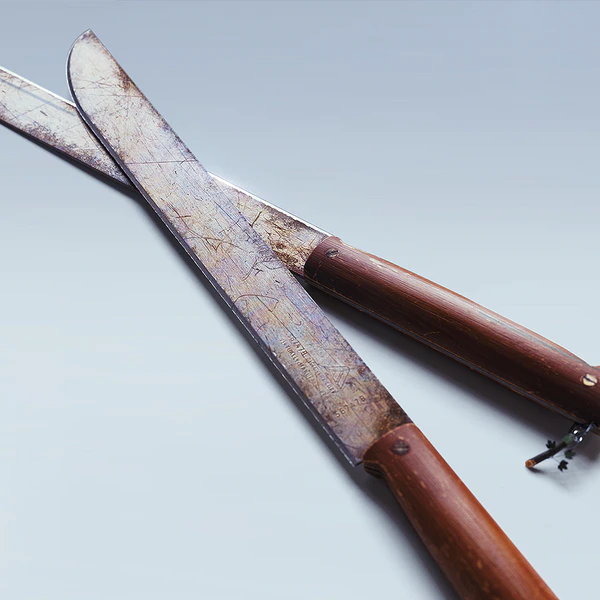 File:JUNGLE JUSTICE SET.png