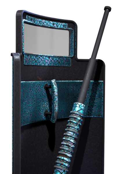 File:Riot Shield PREDASHEEN.png