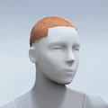 Thumbnail for version as of 23:37, 26 May 2026