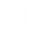 Riot Shield