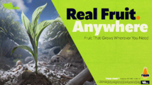 Real Fruit. Anywhere