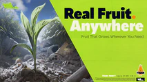 Real Fruit. Anywhere