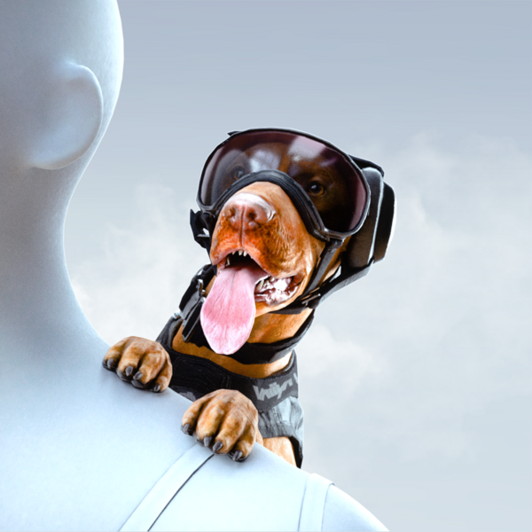 File:Legendary GENERAL GOODBOY.png