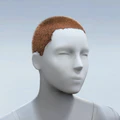 Thumbnail for version as of 21:39, 26 May 2026