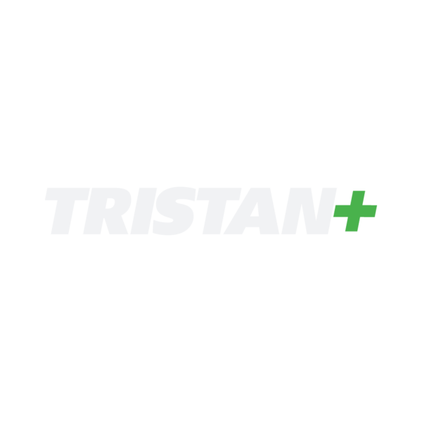 File:THE-FINALS trsitan-logo.png