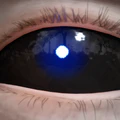 Thumbnail for version as of 20:25, 28 May 2026