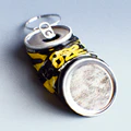 Thumbnail for version as of 23:51, 12 June 2026