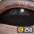 Thumbnail for version as of 19:11, 23 March 2025