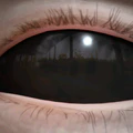 Thumbnail for version as of 10:16, 18 June 2025